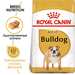 Royal Canin Adult Bulldog Сухой корм для взрослых собак породы Бульдог – интернет-магазин Ле’Муррр