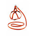 Saival Classic Колор Комплект для собак, поводок + шлейка (оранжевый) – интернет-магазин Ле’Муррр